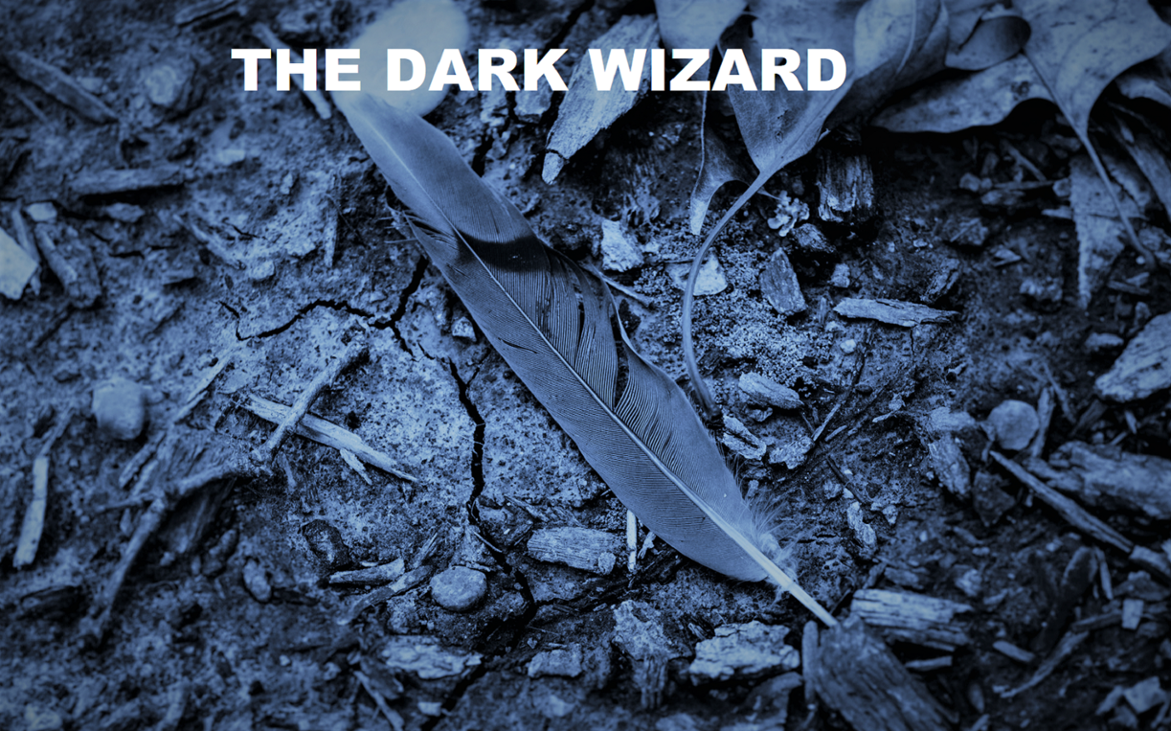 Games like The Dark Wizard