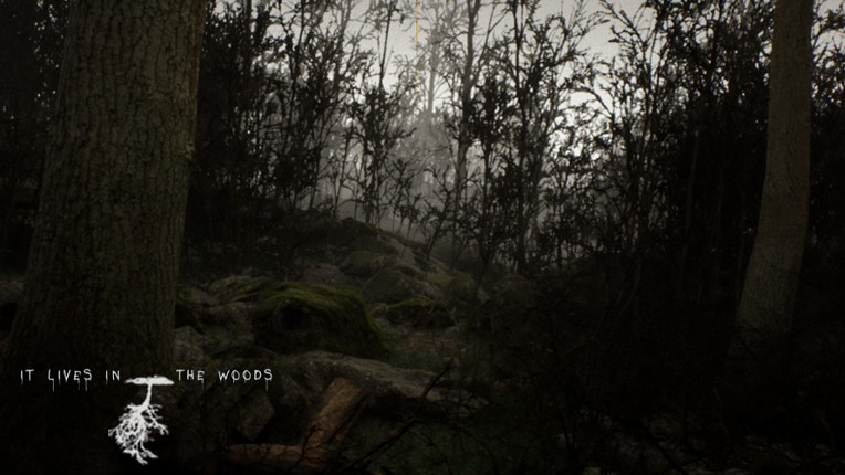 ItLivesInTheWoods screenshot