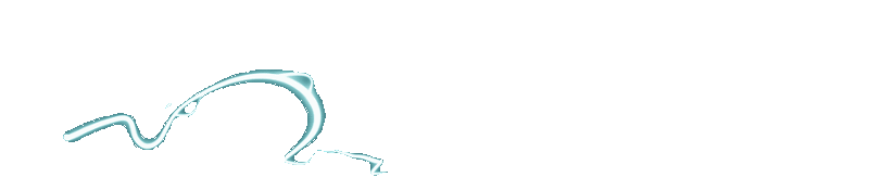 Lost for Gummi Bears Image