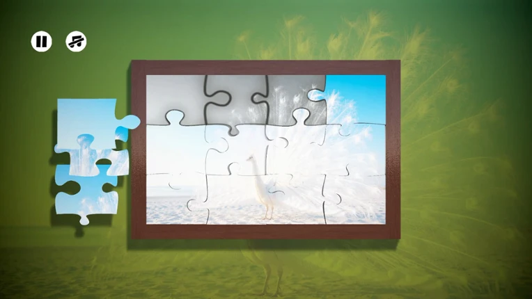 Puzzles Birds Image
