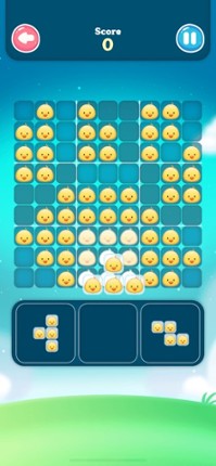 Zoo Block - Sudoku Puzzle Game screenshot