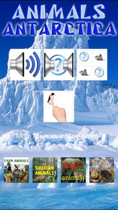 Animals Antarctica Image