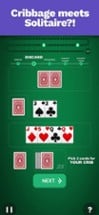 Cribbage Blitz Image