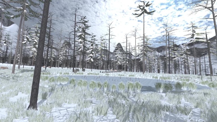 Forest Construction VR screenshot