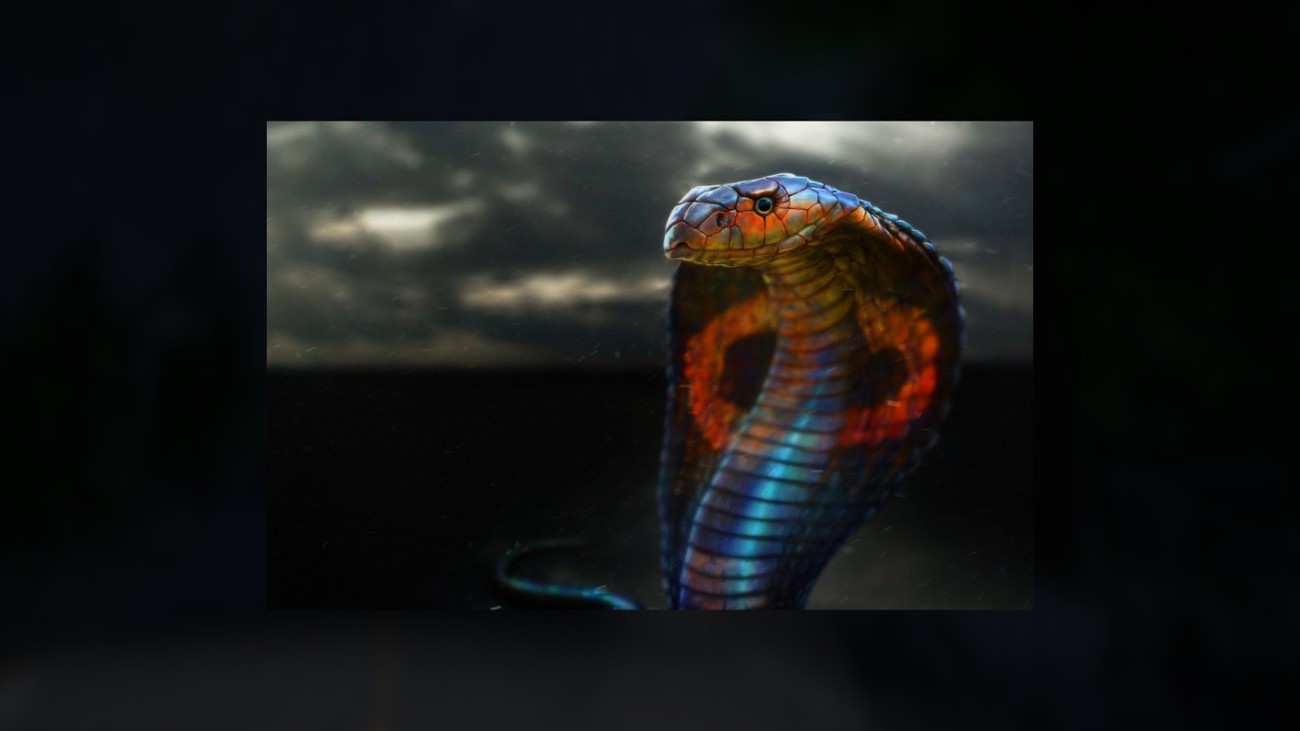 Games like OPERATION COBRA