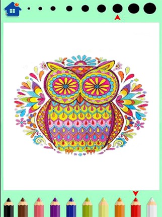 Mandala Coloring book-finger Image