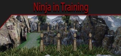 Ninja in Training Image