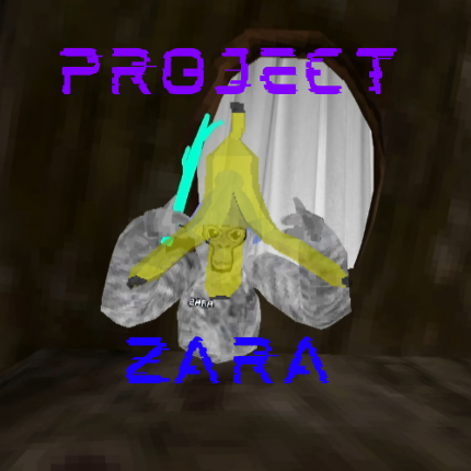 Project Zara Game Cover