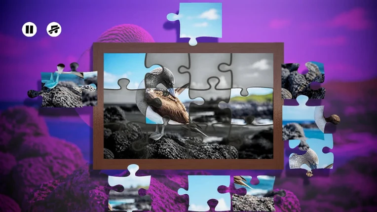 Puzzles Birds Image