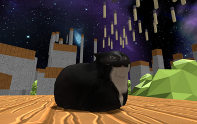 Jumpy Maxwell The Cat Image