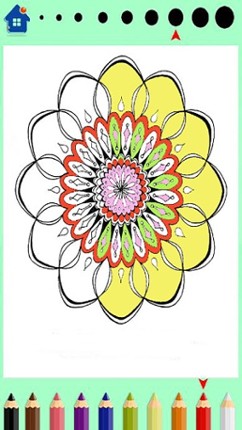 Mandala coloring book-design Image