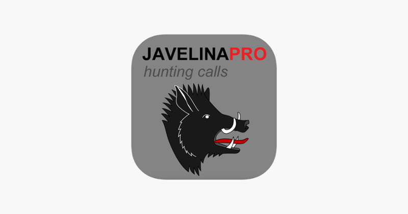 REAL Javelina Calls &amp; Javelina Sounds to use as Hunting Calls Image