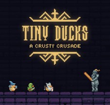 Tiny Ducks Image