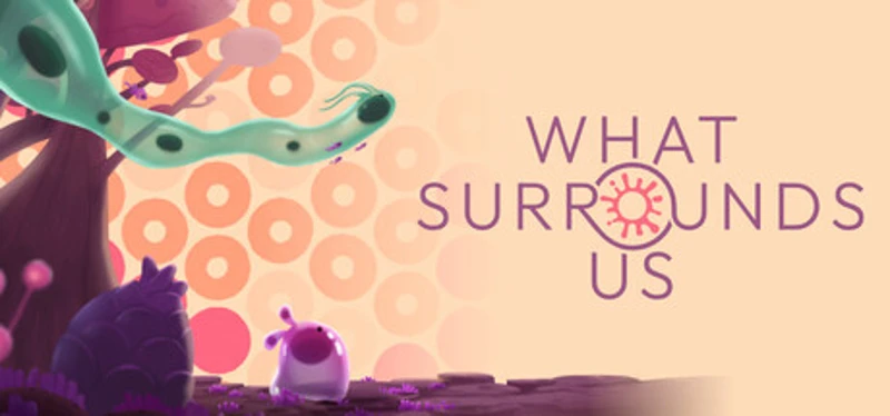 What Surrounds Us Image