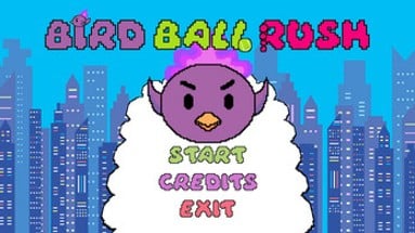 Bird Ball Rush Image