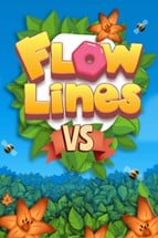 Flowlines VS Image