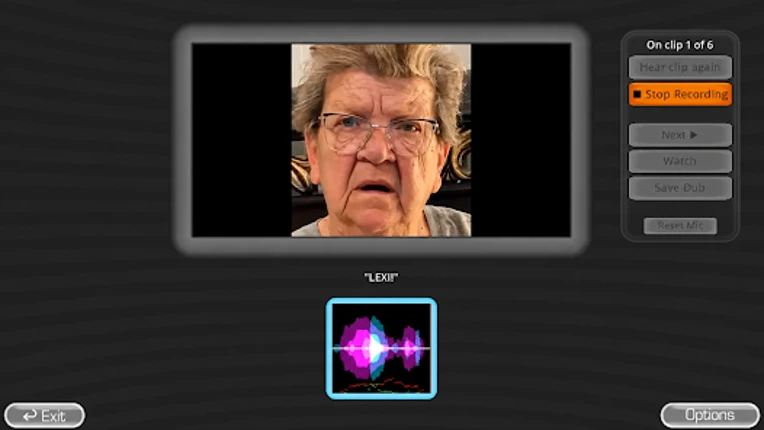 The Choicer Voicer Game Image