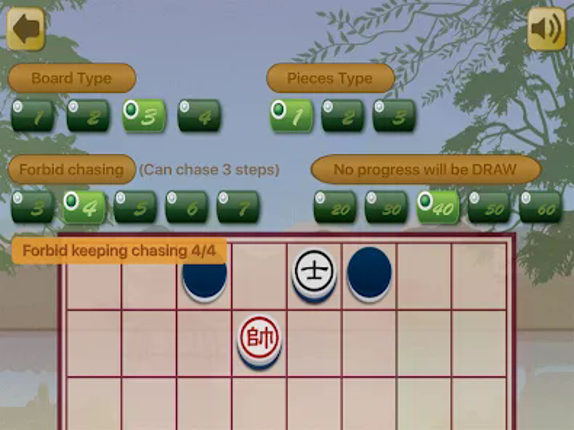 Chinese Dark Chess King screenshot