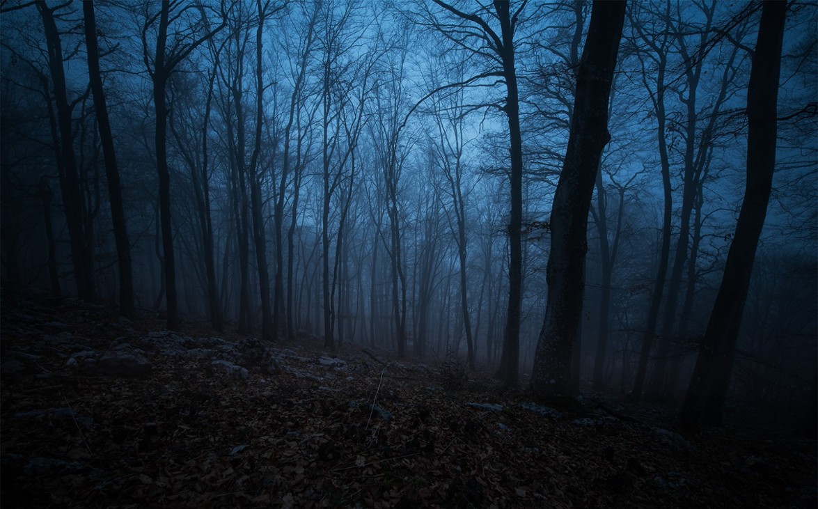 Games like Mystery Forest Game