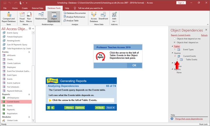 Professor Teaches Access 2019 screenshot