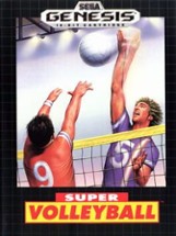 Super Volley Ball Image