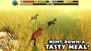 Tiger Simulator Image