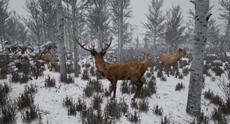 A Ranger's Journey Image