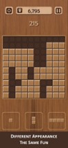 Classic Wooden Puzzle Image