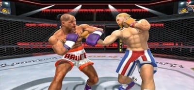 Real Punch Boxing Revolution Image