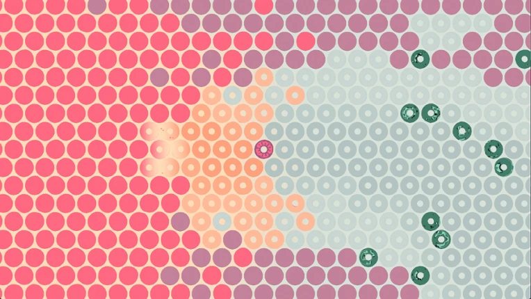 What Surrounds Us screenshot