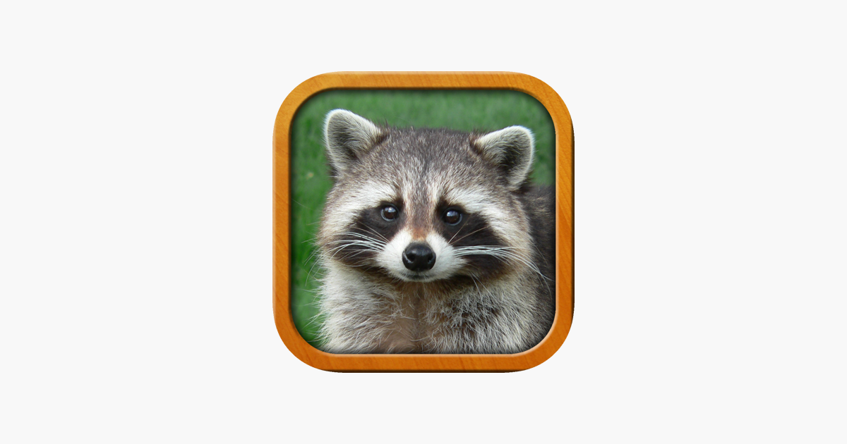 Games like Animals for Kids, full game