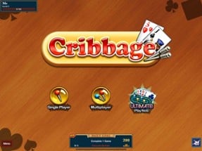 Cribbage Premium Image