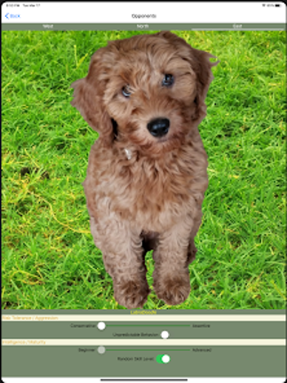 K9 Shanghai Rummy Image