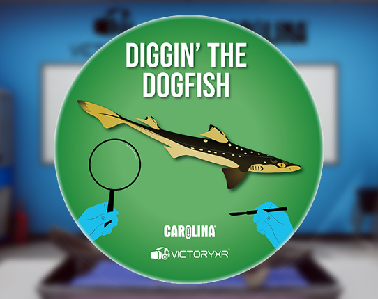 Dissection Simulator: Dogfish Edition Image