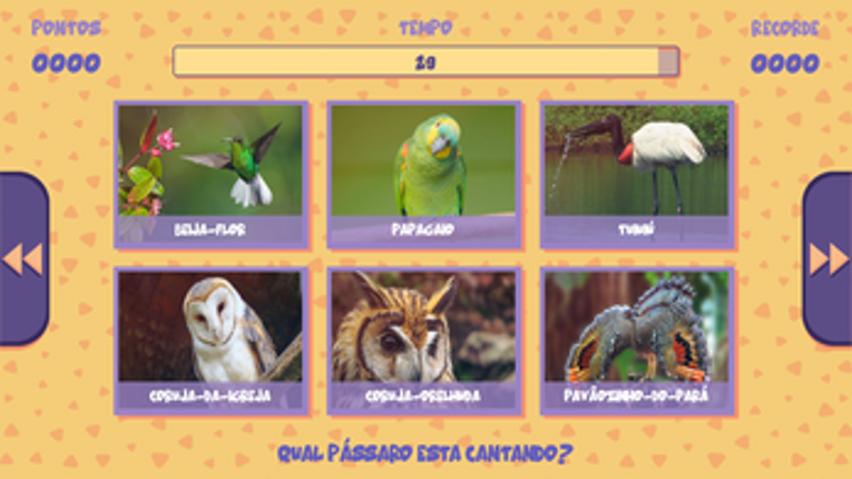 Qual é o Pássaro? Image