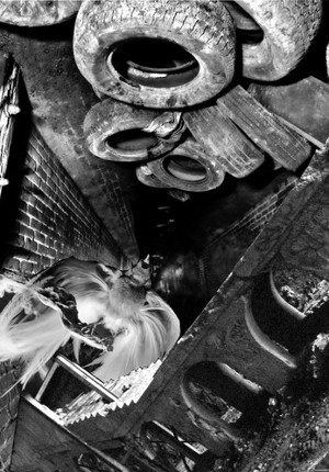 S'échapper des Faubourgs Image