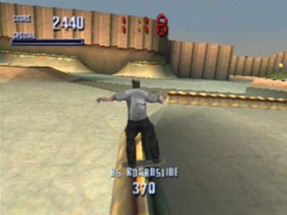 Tony Hawk's Pro Skater Image