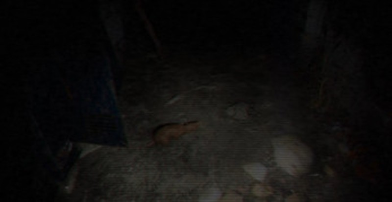 恐怖の館 THE TERROR HOUSE - Tape#01 screenshot