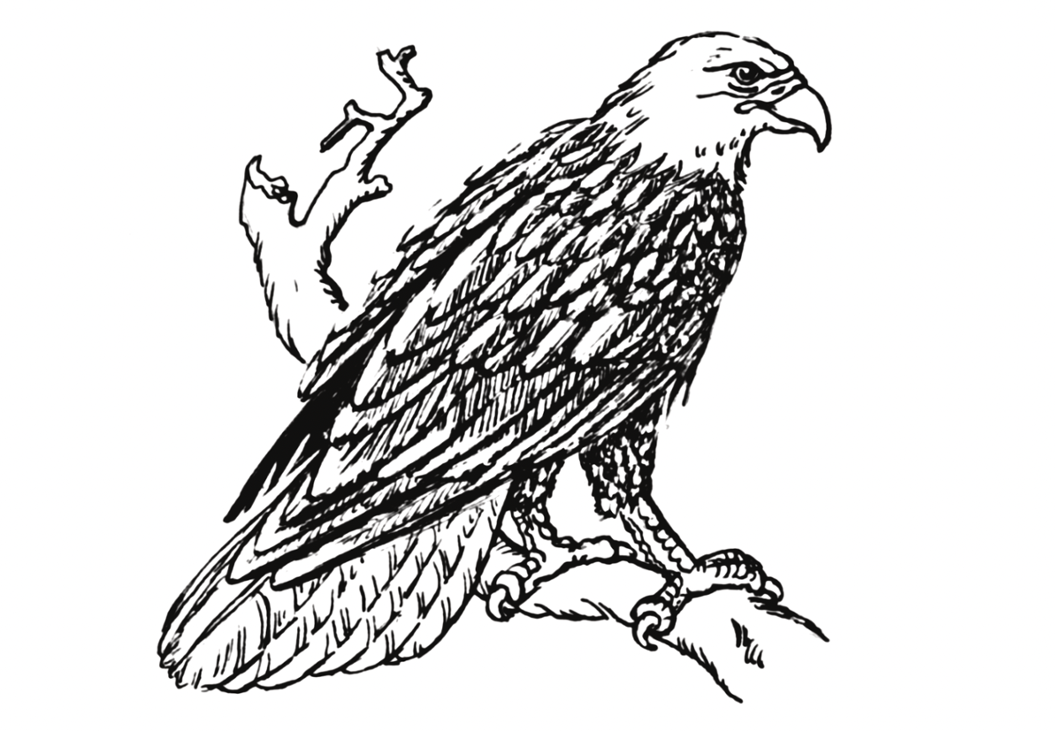 Games like Only in Omerica (early release)