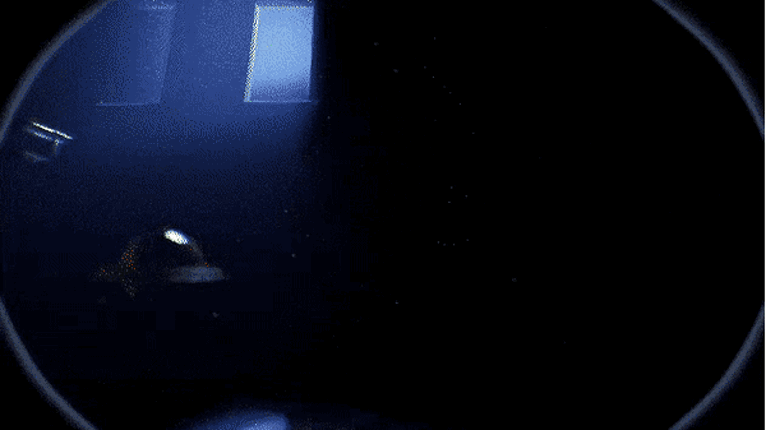 RESONANCE (Horror Game Demo) Image