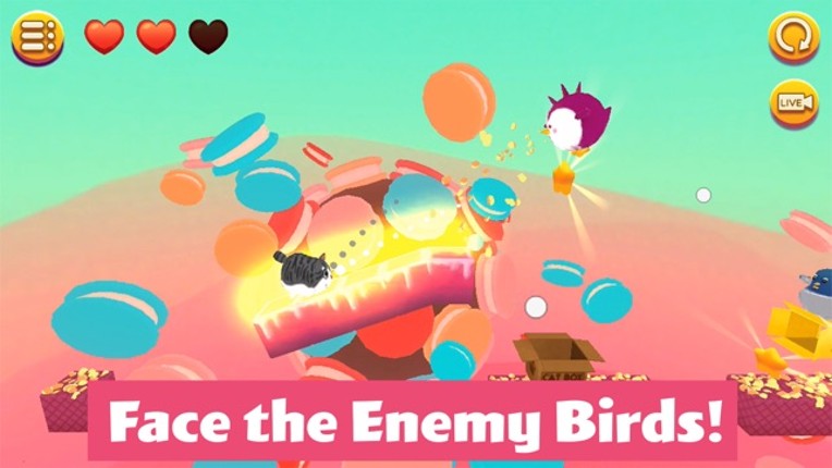 Kitty in the Box 2 screenshot