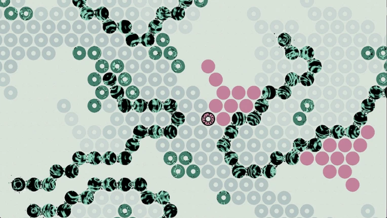 What Surrounds Us screenshot