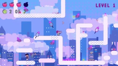 Bird Ball Rush Image