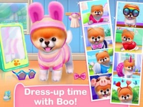 Boo - World's Cutest Dog Game Image