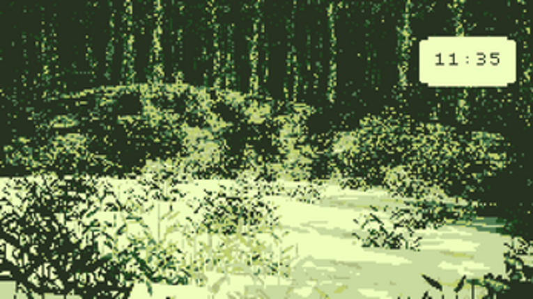 Among The Trees Image