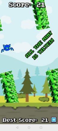 Flap Vs Friends Image
