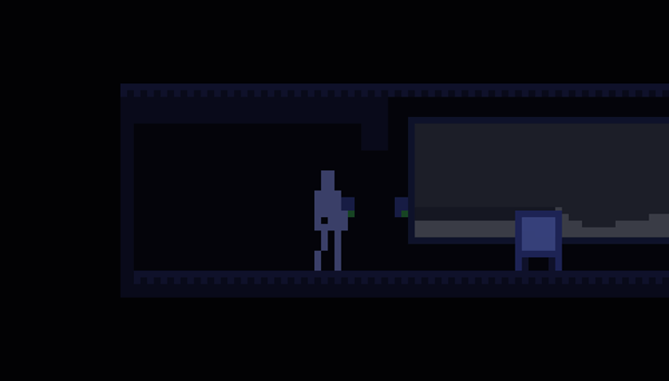 The Visitor Image