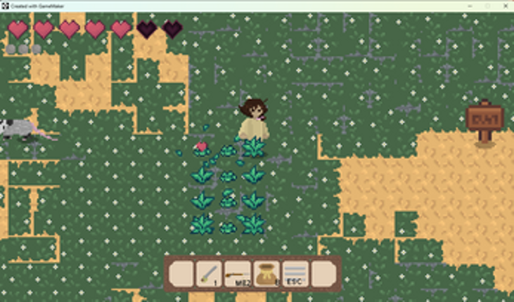 Nas Pegadas Project V3 screenshot