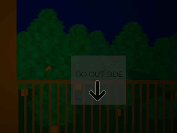Night Visitor Image