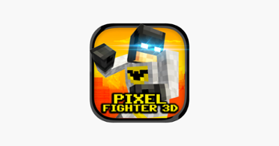 Pixel Fighter 3D Image